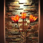Agapanthus