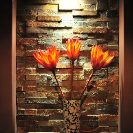Agapanthus
