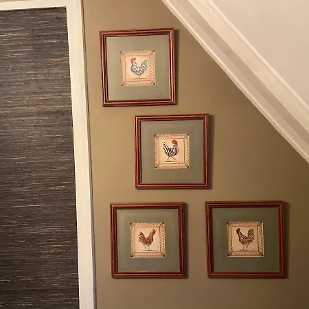 Agapanthus فندق مبيت وإفطار Hoogkarspel