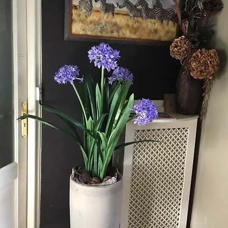Agapanthus فندق مبيت وإفطار