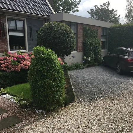 Agapanthus Hoogkarspel