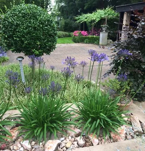 Bed and breakfast Agapanthus Hoogkarspel