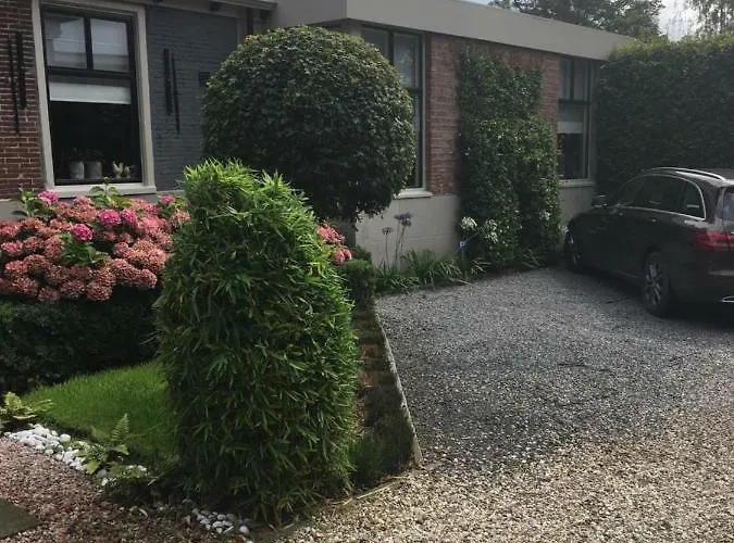 Agapanthus Hoogkarspel